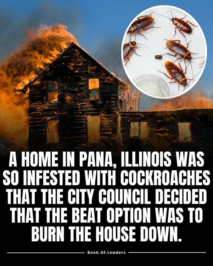 A house in Pana, Illinois was burned down due to a severe cockroach infestation, highlighting unusual pest control facts.