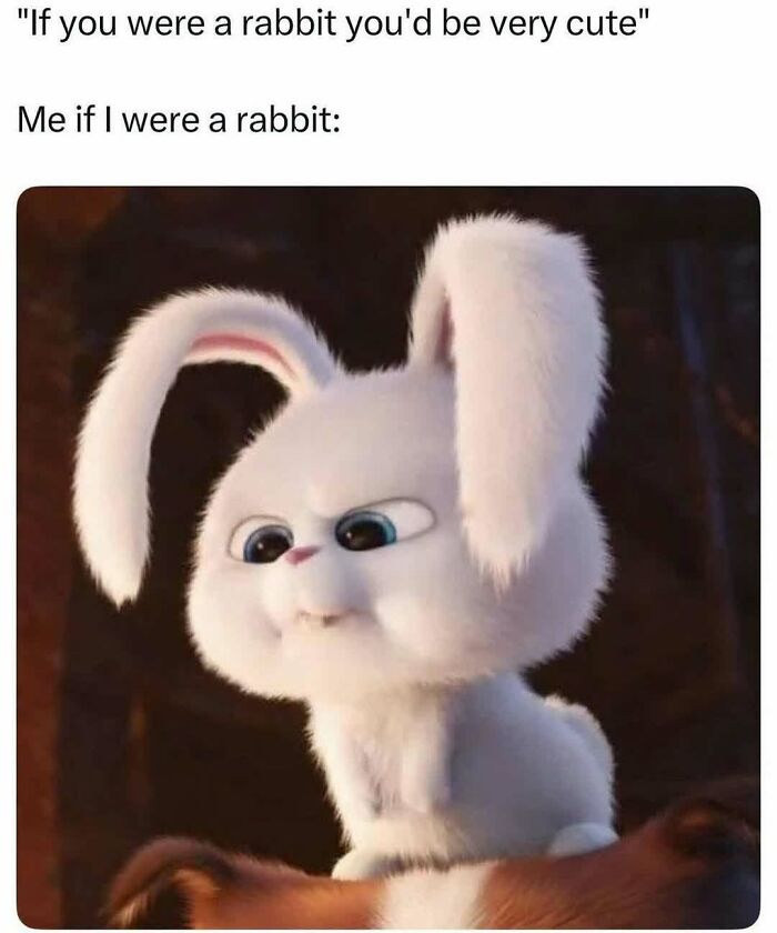 Meme showing an angry white cartoon rabbit with expressive eyes, perfect for relatable memes to bring a chuckle today.