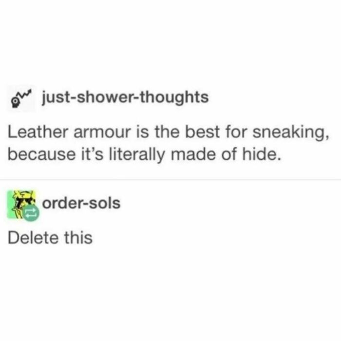 Meme about leather armour being best for sneaking because it's made of hide, with a humorous reply to delete it.