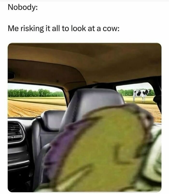 Relatable meme showing a blurry character in a car narrowly looking outside at a distant cow in a field.