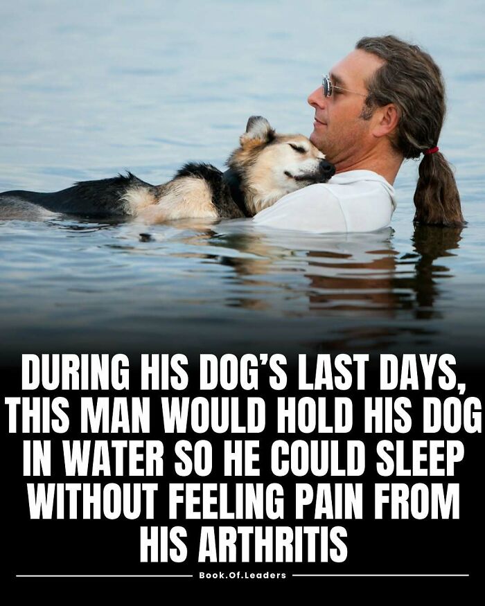 Man holding his dog in water to ease arthritis pain, a touching story from 71 stories and facts that teach something new.