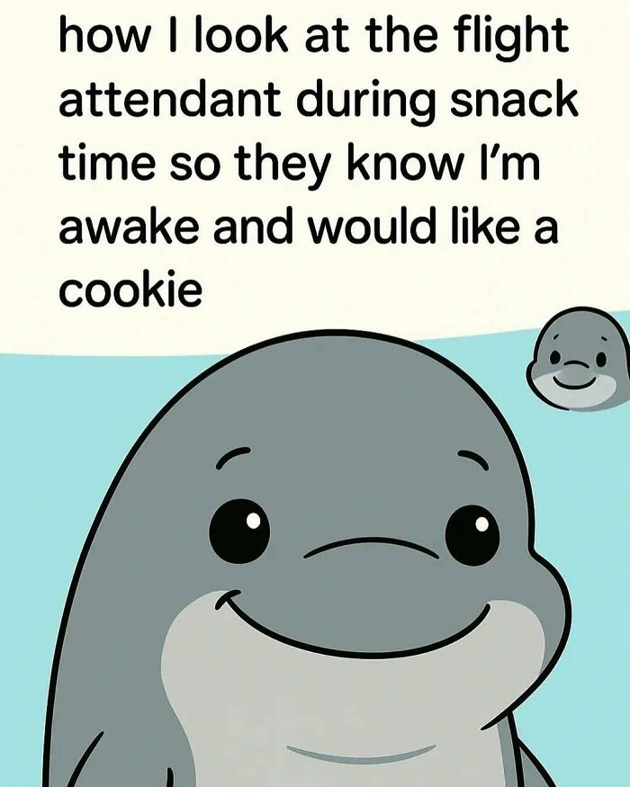 Cartoon dolphin with a shy smile illustrating silly and relatable memes about asking for snacks on a flight.