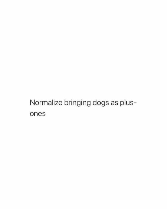 Meme from Instagram page reflecting the millennial mind, suggesting normalizing bringing dogs as plus-ones.