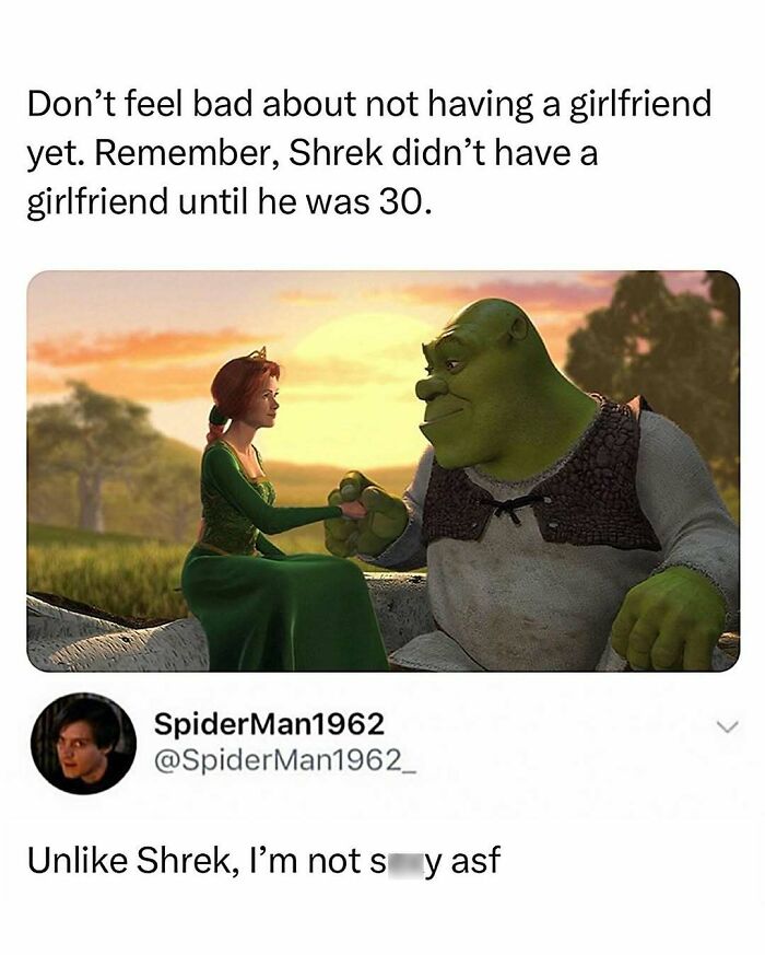 Meme featuring nostalgic ’90s Shrek scene about relationships with humorous social media comment below.