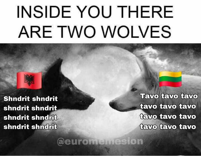 Two wolves facing each other under a full moon, representing Eurovision Song Contest meme with Albanian and Lithuanian flags.