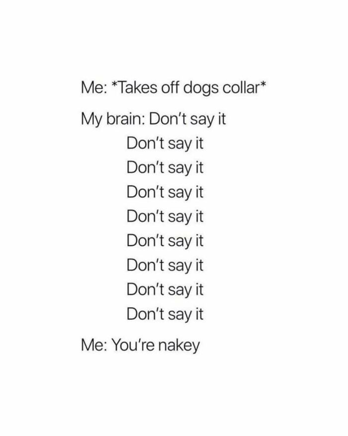 Millennial mind meme showing internal struggle with saying "You're nakey" after taking off dog's collar.