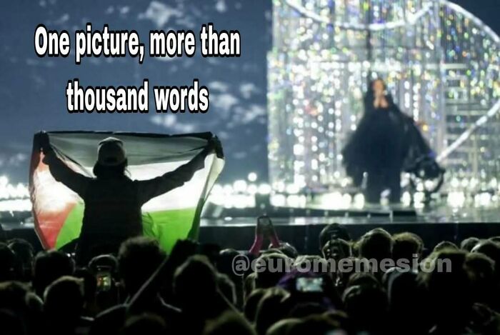 Audience member holding a flag at a live concert, capturing a moment from the 2025 Eurovision Song Contest memes.