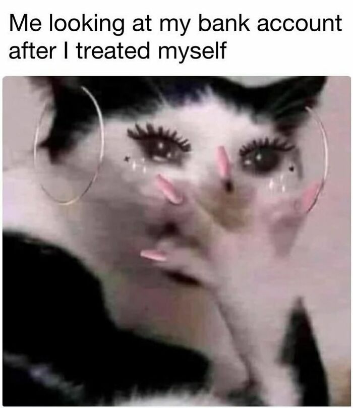 A cat meme with exaggerated makeup and nails, expressing relatable humor in memes for days about avoiding responsibilities.