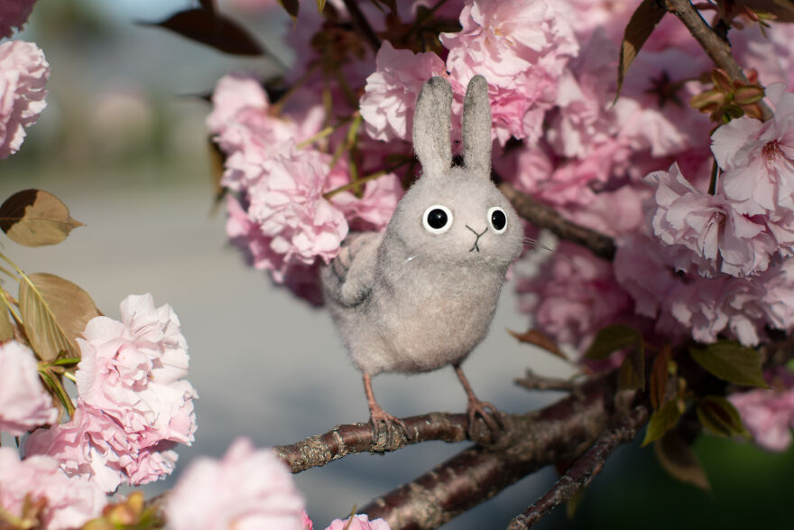 He&rsquo;s Small, He&rsquo;s Tired, He&rsquo;s Doing His Best: Meet Zaebushek