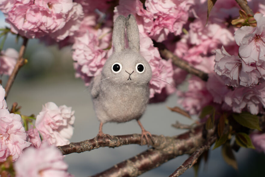 He&rsquo;s Small, He&rsquo;s Tired, He&rsquo;s Doing His Best: Meet Zaebushek