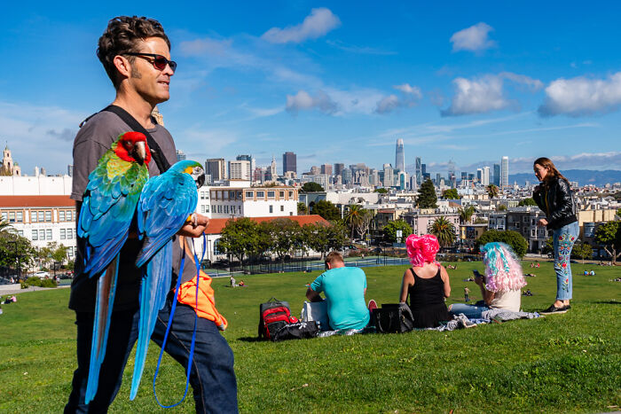 This Is What It Looks Like When Urban Settings Dream Out Loud