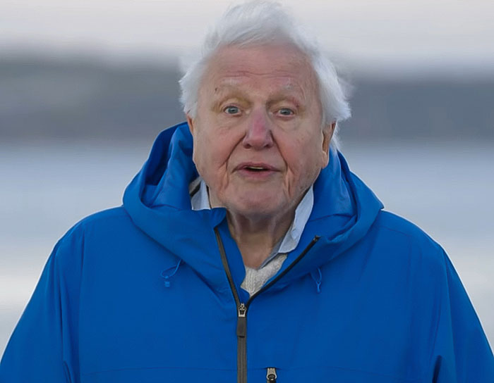 David Attenborough outdoors wearing a blue jacket, delivering an urgent warning about nearing the end of his life.