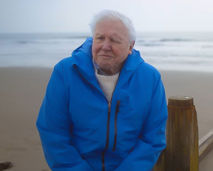 David Attenborough wearing blue jacket at the beach, reflecting on nearing the end of his life with urgent warning.
