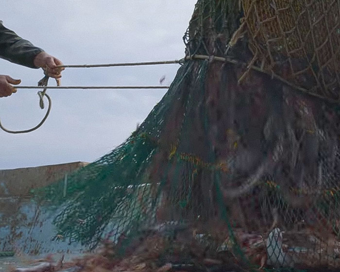 Fisherman pulling a heavy green net full of fish on a boat, highlighting urgent environmental warning by David Attenborough