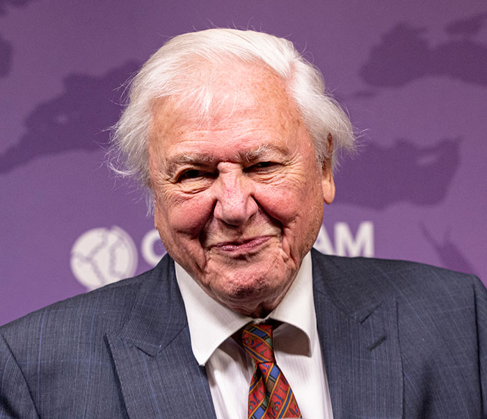 David Attenborough in a suit and patterned tie, smiling gently while addressing an audience at an event.