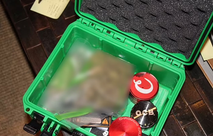 Green container with blurred items and round shaped objects, part of disturbing items found in Miami mansion raid evidence.