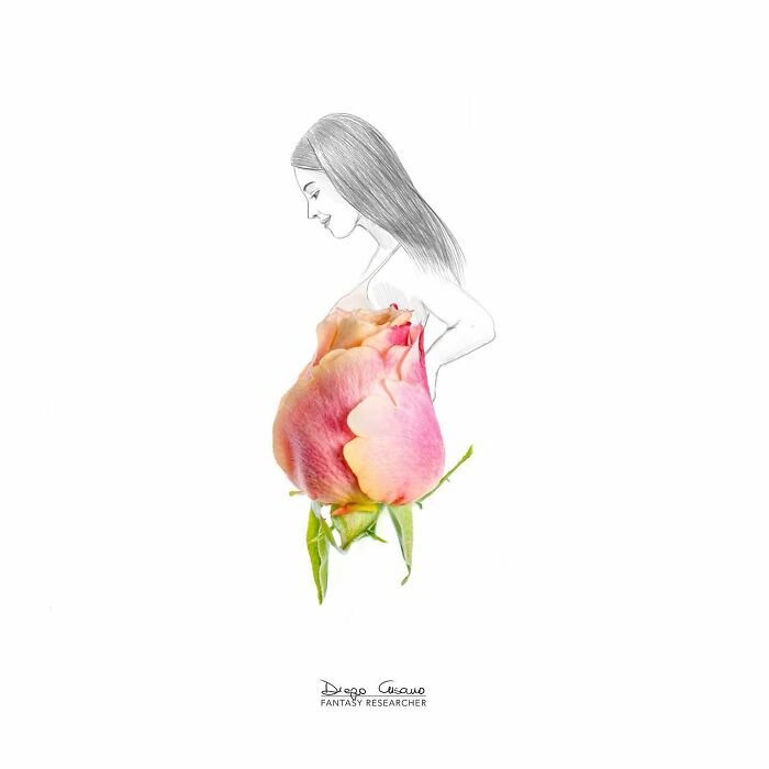 Creative illustration transforming a rose into a pregnant woman, blending everyday objects with imaginative art.