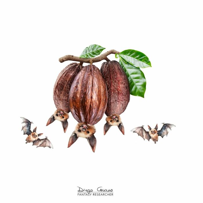 Creative illustrations showing bats hanging from cacao pods, transforming everyday objects into imaginative art.