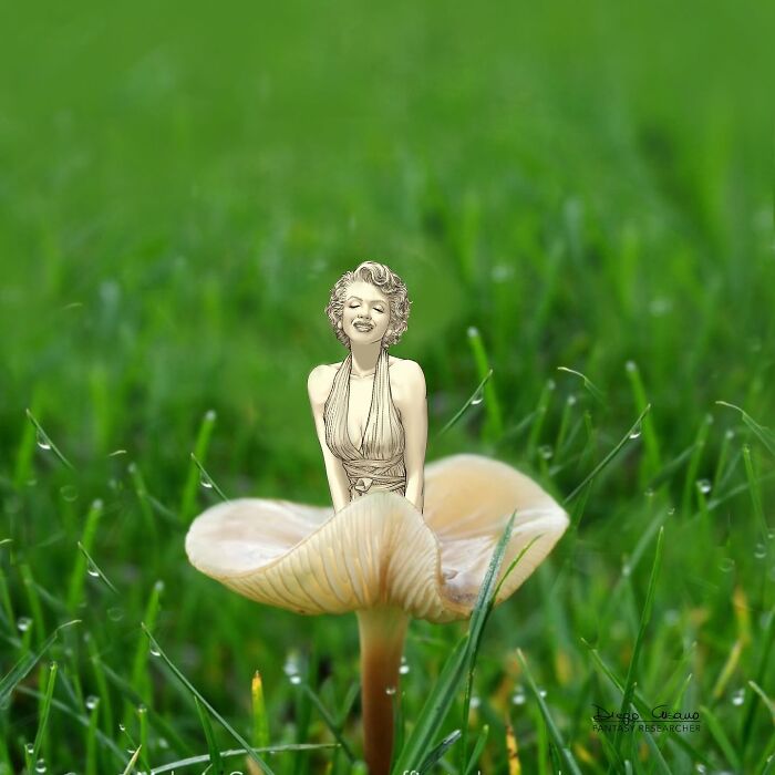 Creative illustration showing a woman merging with a mushroom, transforming everyday objects into something new and imaginative.