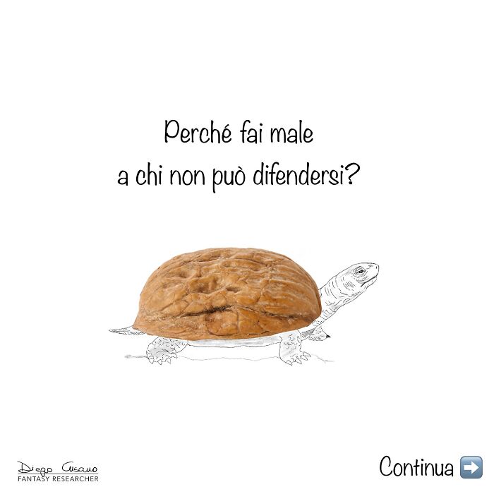 Creative illustration of a turtle using a walnut shell as its shell, transforming everyday objects into something new by the artist.