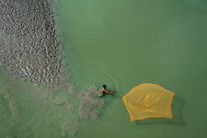 Aerial view of a person casting a large net in green water near muddy mangrove area, showcasing mangrove photography.