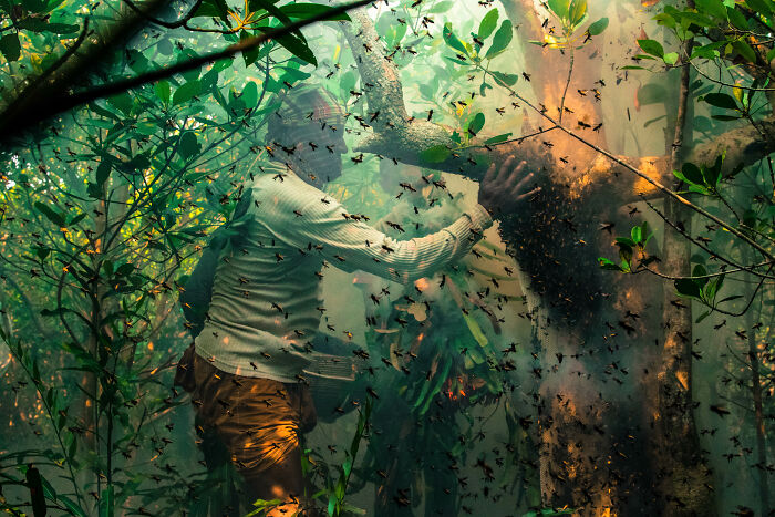 Person wearing protective gear working with bees in a dense mangrove forest, showcasing nature for mangrove photography awards.