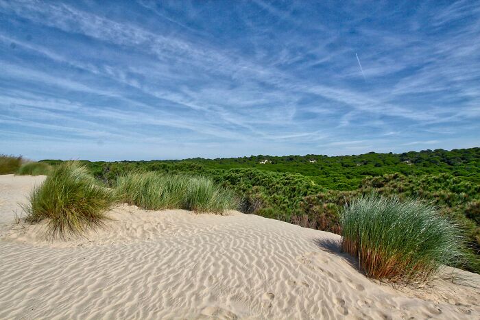 Sandy dunes with green grass under a blue sky showcasing one of the hidden UNESCO gems in a natural coastal landscape.