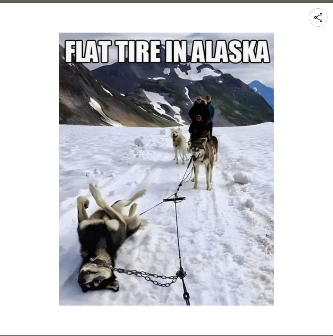 Flat Tire In Alaska