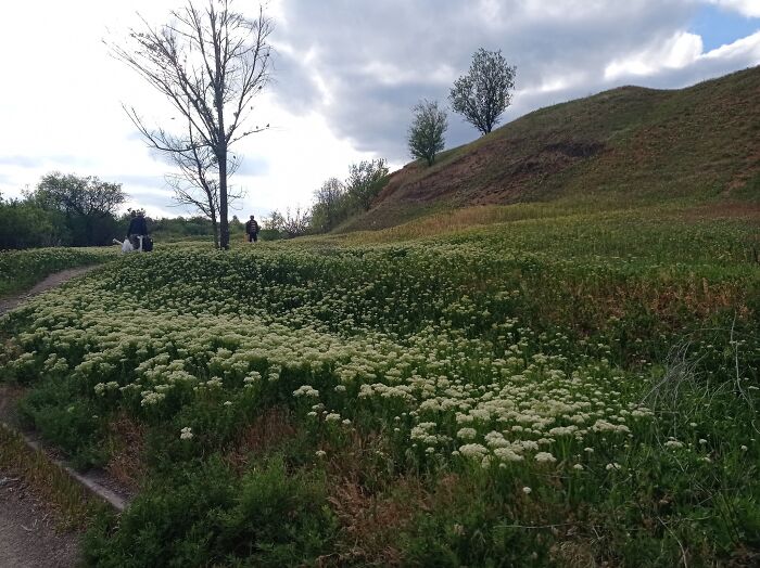 From Chaos To Canvas: How A Spontaneous Art Journey Became An Unforgettable Adventure