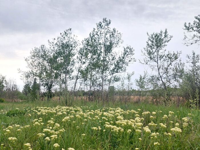 From Chaos To Canvas: How A Spontaneous Art Journey Became An Unforgettable Adventure