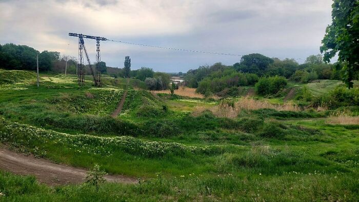 From Chaos To Canvas: How A Spontaneous Art Journey Became An Unforgettable Adventure