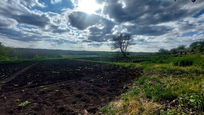 From Chaos To Canvas: How A Spontaneous Art Journey Became An Unforgettable Adventure