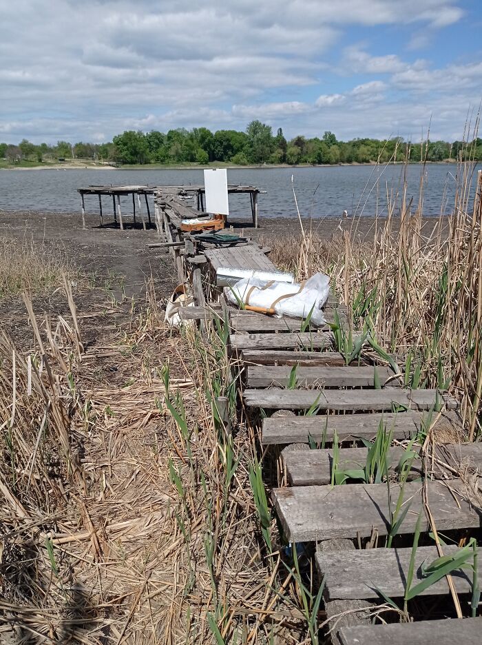 From Chaos To Canvas: How A Spontaneous Art Journey Became An Unforgettable Adventure