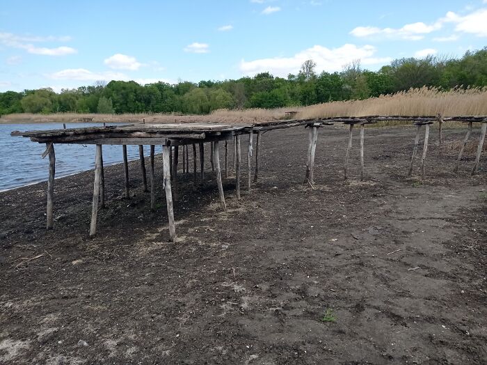 From Chaos To Canvas: How A Spontaneous Art Journey Became An Unforgettable Adventure