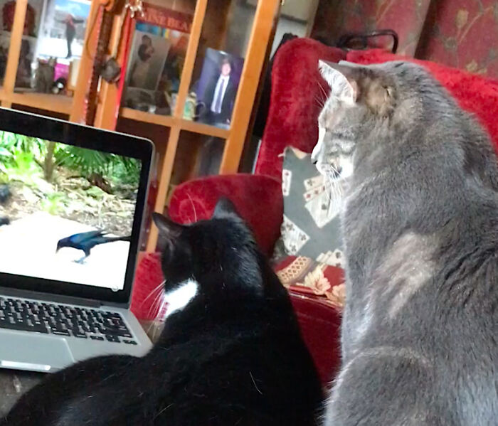 We Skipped School Today