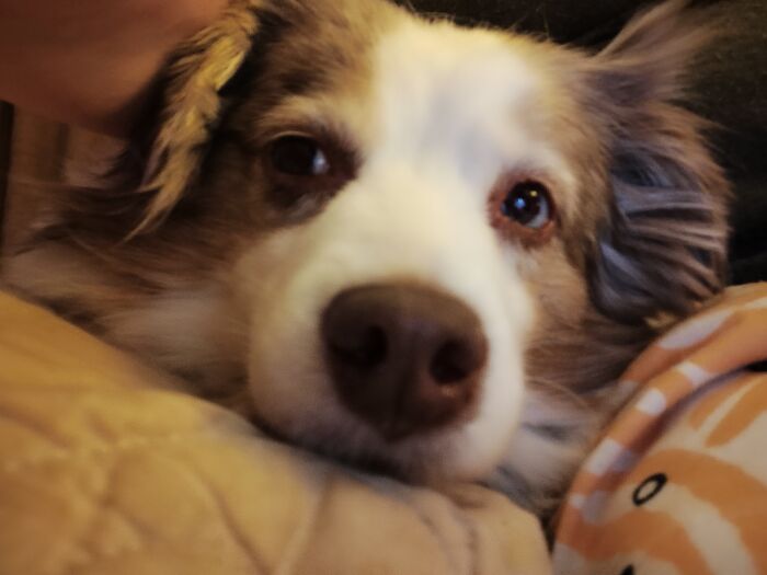 Melvin Knows He's In Trouble But He's Cute. He Gets Away With A Lot!