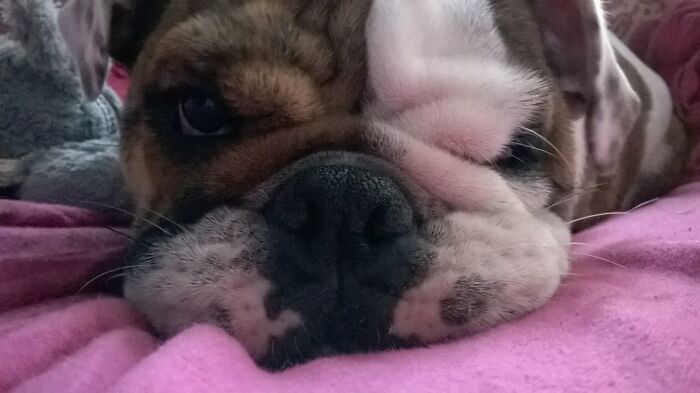 Princess Isabough (Izzy), My Baby Girl