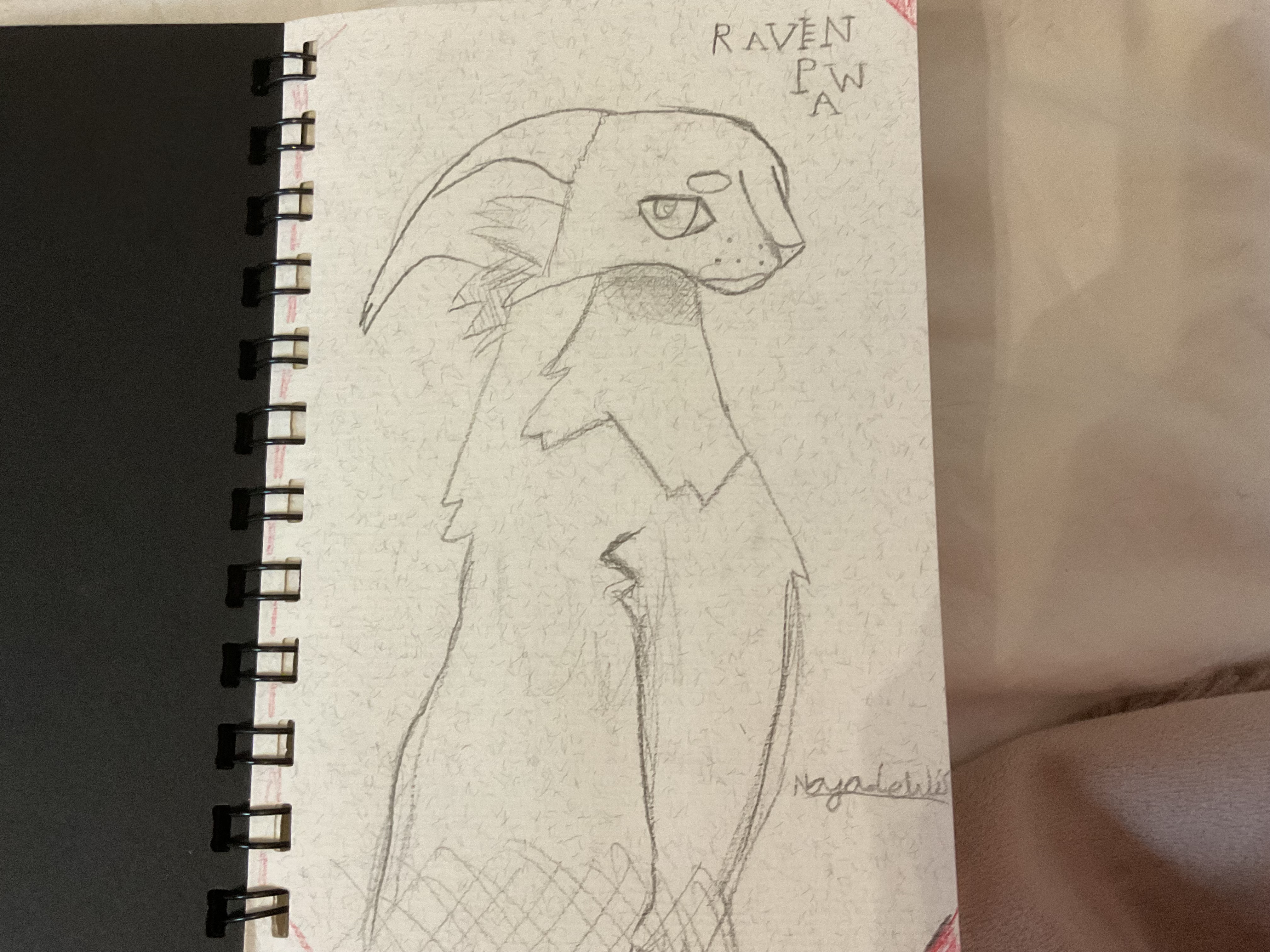 My Warrior Cats Drawing!