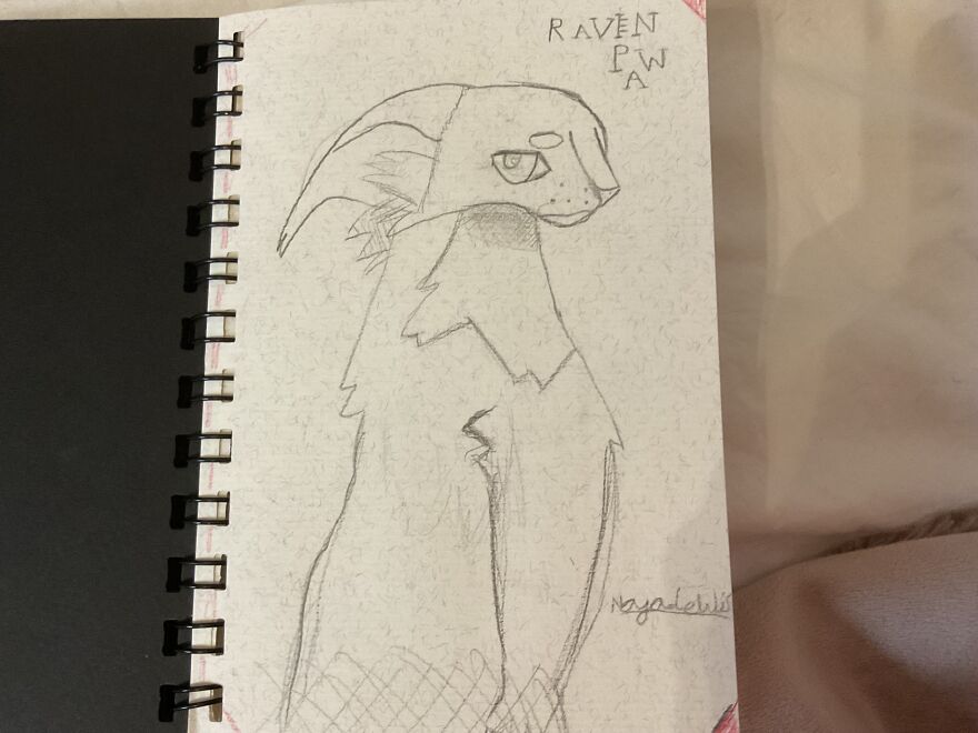 My Warrior Cats Drawing!