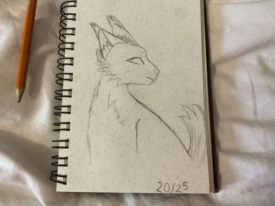 My Warrior Cats Drawing