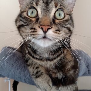 meganlacey008 avatar