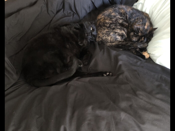 She Lets Me Get Close