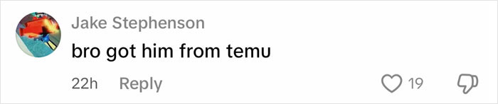 Comment on social media from Jake Stephenson saying bro got him from temu with 19 likes and reply option visible.