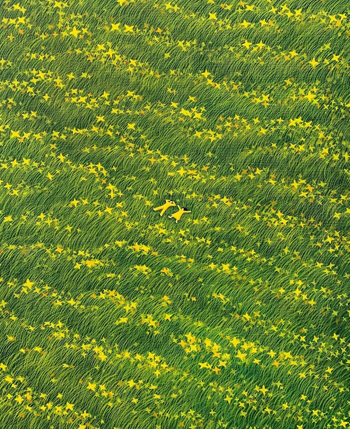 Calming artwork by Mulgil Kim featuring two figures lying in a green field filled with yellow flowers and flowing grass.