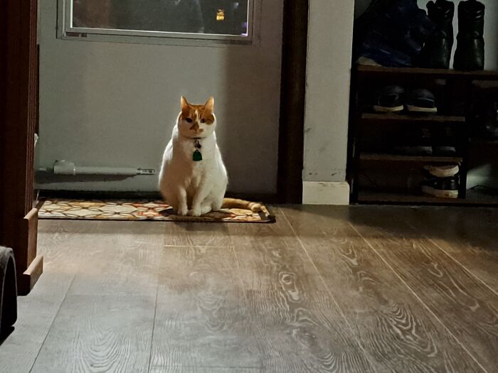 Emmet Dares You To Leave