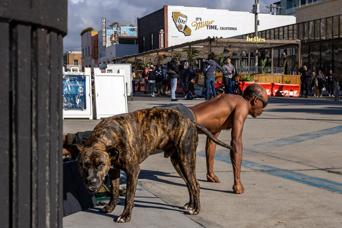 This Is What It Looks Like When Urban Settings Dream Out Loud