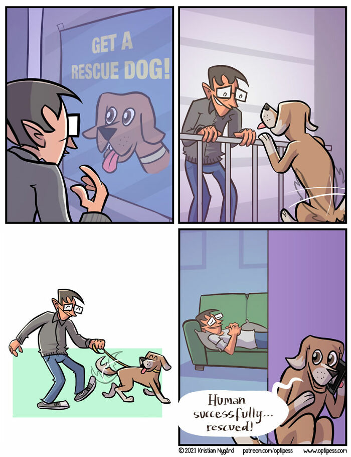 Comic panels showing a man rescuing a dog, playing together, and the dog saying human successfully rescued in a witty comic style.