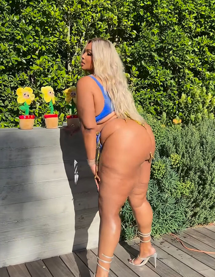 "The Extra Skin Will Never Go Away": Lizzo’s Bikini Twerk With Grammys Sparks Buzz "The Extra Skin Will Never Go Away": Lizzo’s Bikini Twerk With Grammys Sparks Buzz