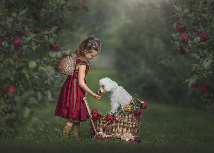 Young girl offering an apple to a white dog in a wicker basket, capturing the magical bond between children and animals.