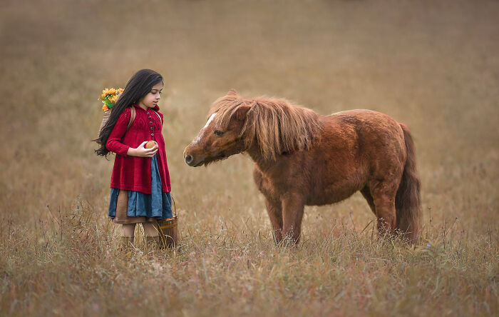 Young girl in a red dress holding an apple, standing in a field with a small brown pony, capturing the magical bond between children and animals.